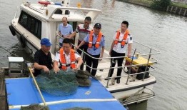 江苏爆料非法捕捞事件视频,视频揭露惊人真相