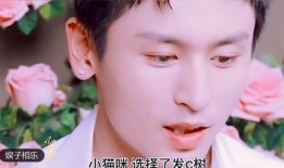 天涯爆料姜振威黑料视频,揭秘娱乐圈背后的惊人真相