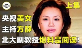 央视女主持人被爆料视频,央视女主持人被爆料视频引发舆论风波