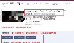 成年网站在线观看,在线观看的精彩世界概览