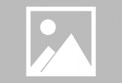 原神宠物爆料大全下载最新,最新宠物信息汇总解析