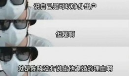 陈妍希狗仔爆料视频大全,揭秘娱乐圈幕后真相