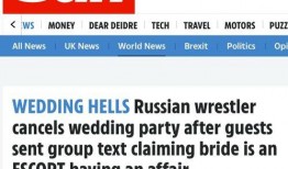 俄罗斯媒体手机爆料视频,现场实况引发关注