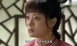 甄嬛传在线观看土豆,宫廷权谋与情感纠葛的精彩演绎