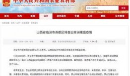 临汾爆料最新新闻网,最新新闻网聚焦热点事件，揭秘背后真相