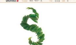 树叶最新爆料文案怎么写,树叶最新爆料，带你一探究竟！