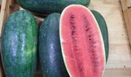 山东网红吃瓜事件真相,揭秘背后真相与网络舆论风暴