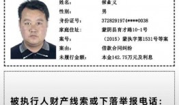 蒙阴县最新爆料新闻事件,最新爆料揭示惊人真相