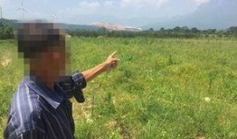 陈大爷最新爆料,揭秘事件背后惊人真相