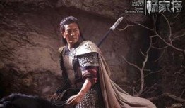 老杨爆料不良人视频大全,老杨爆料视频大全背后的惊人真相