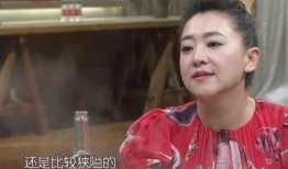 汪姐儿子爆料视频大全集,揭秘背后真相与情感纠葛