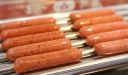 烤肠老板爆料视频播放大全,视频播放大全背后的惊人真相揭秘