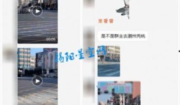 潮州网友爆料视频最新版,揭秘潮州街头惊人一幕！