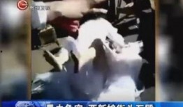 新人爆料照视频怎么拍摄