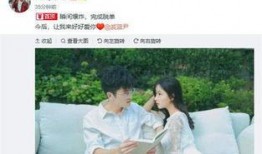 顾琛结婚爆料视频,甜蜜瞬间与幕后故事