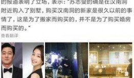 顾琛结婚爆料视频,甜蜜瞬间与幕后故事