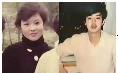 娱乐圈吃瓜爆料肖战小说,娱乐圈风云再起，揭秘明星背后的秘密