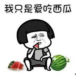 娱乐圈吃瓜有多累